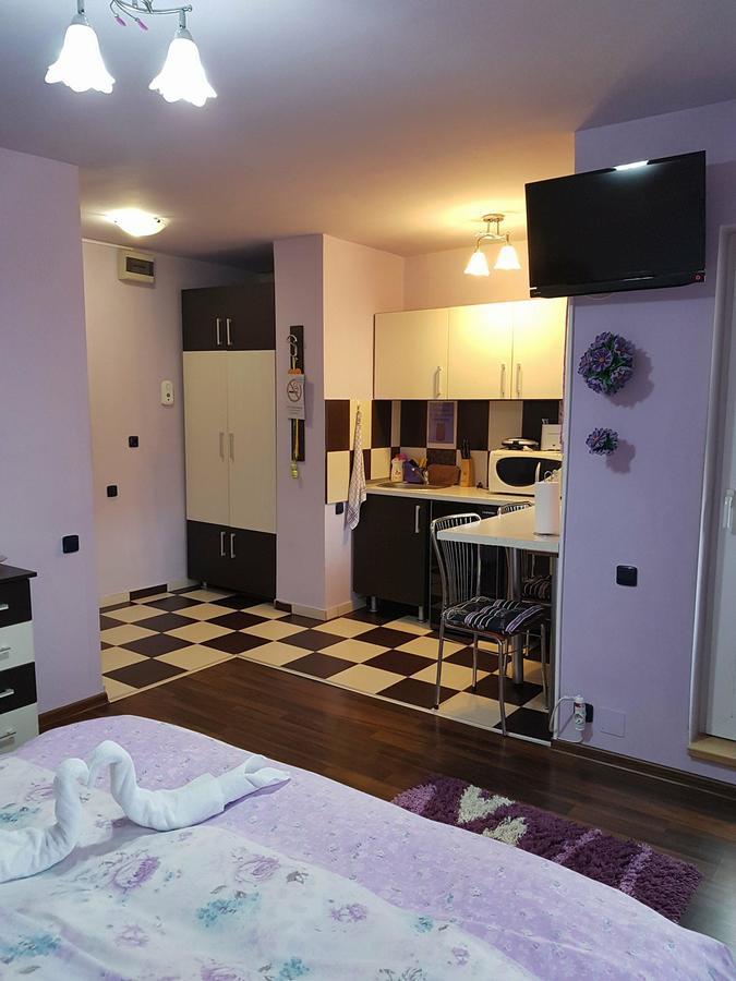 Garsoniera Cristina Apartman Félixfürdő Kültér fotó