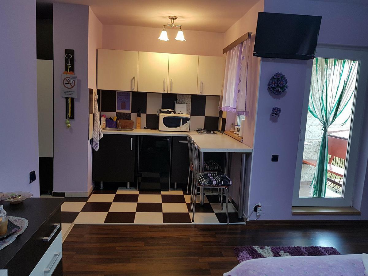 Garsoniera Cristina Apartman Félixfürdő Kültér fotó