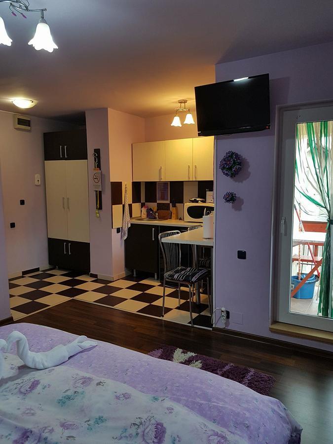 Garsoniera Cristina Apartman Félixfürdő Kültér fotó