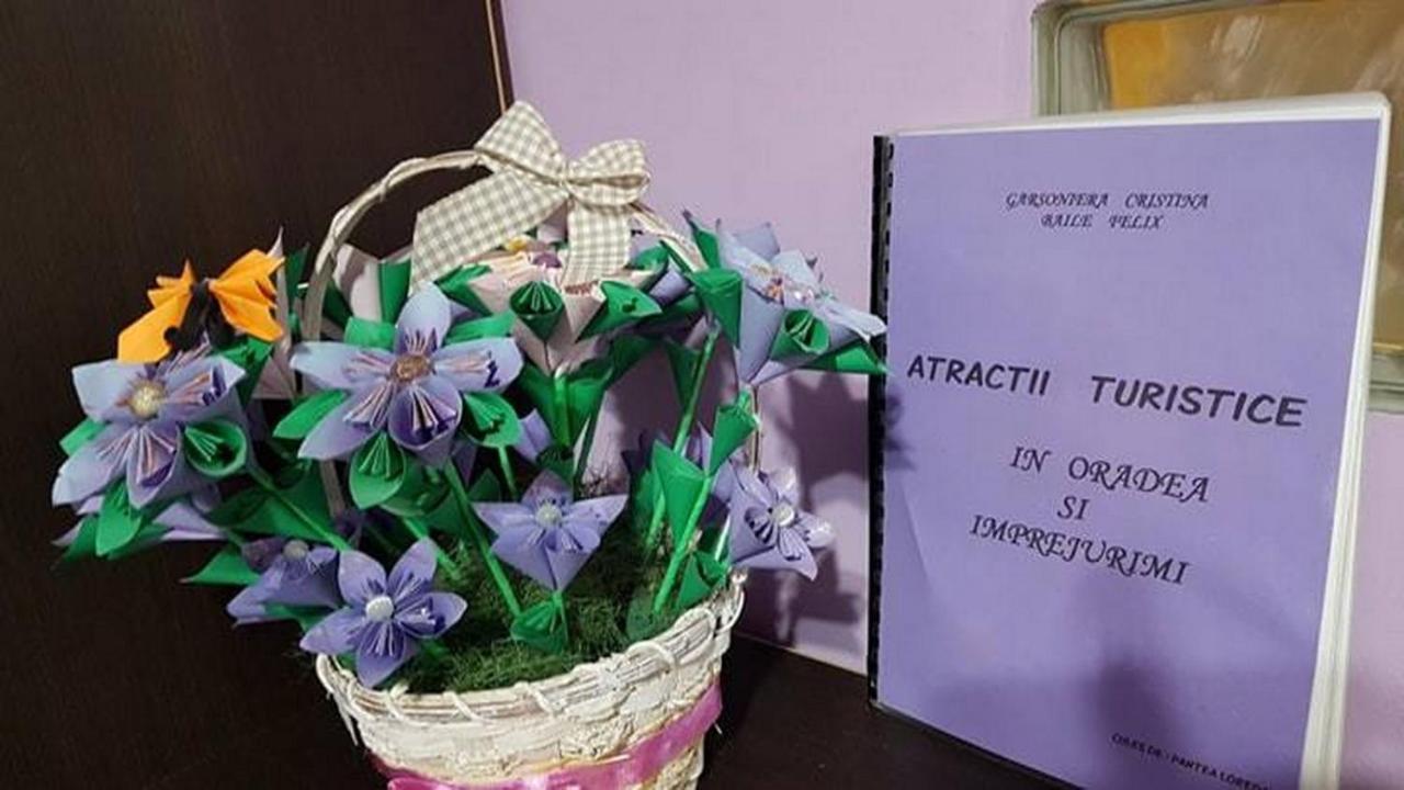 Garsoniera Cristina Apartman Félixfürdő Kültér fotó
